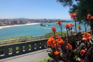 French Basque Country Coastline tour in a 70'sVW Van