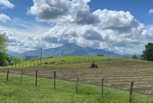 French Basque Country Farms & Food Tour