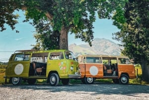 French Basque Country Private Day Tour in an 70's VW Combi