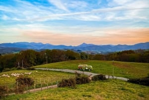 French Basque Country Private Day Tour in an 70's VW Combi