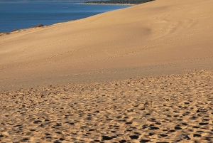 Biarritzista: Dune du Pilat ja Arcachonin lahti – 100 % yksityinen