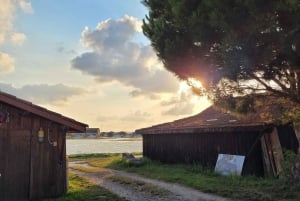 Biarritzista: Dune du Pilat ja Arcachonin lahti – 100 % yksityinen