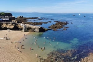 From San Sebastian: Biarritz, St. Jean de Luz & Hondarribia