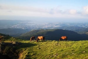 Guided tour of the 5 most beautiful towns in Basque Country