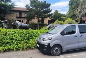 Lourdes: tour guidato con trasporto da Pamplona