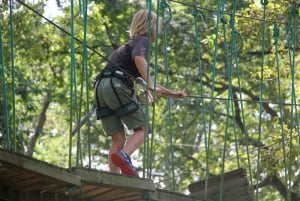 Pau - Baumklettern - Lacq Aventure