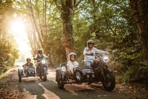 Private side-cars with drivers in the Basque Country