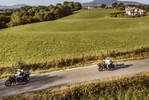 Private side-cars with drivers in the Basque Country