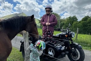 Private side-cars with drivers in the Basque Country