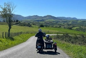 Private side-cars with drivers in the Basque Country