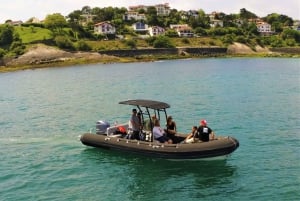 Saint-Jean-de-Luz, Basque country: Boat tour along the Coast