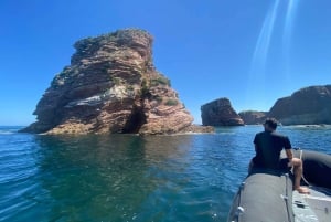 Saint-Jean-de-Luz, Basque country: Boat tour along the Coast