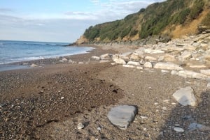 Une nature basque unique - Visite guidée en voiture