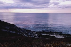 Une nature basque unique - Visite guidée en voiture