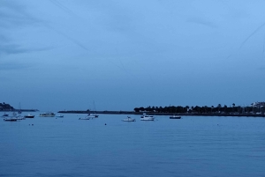 Une nature basque unique - Visite guidée en voiture