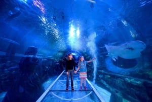 Birmingham: Mondo Cadbury + SEA LIFE + LEGOLAND Discovery