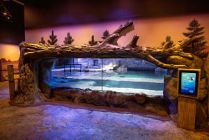 Birmingham: National Sea Life Centre Entrance Ticket