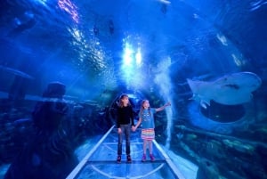 Birmingham: National Sea Life Centre Entrance Ticket