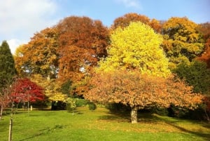 Birmingham: Winterbourne House and Garden Admission Ticket