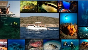 Aquapro Diving