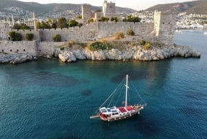 Rondvaart: Bodrum Privé Boottour voor Cruiseklanten