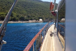 Tour in barca: Tour privato in barca a Bodrum per i clienti in battello
