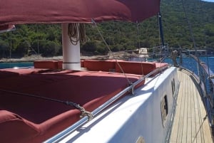Passeio de barco: Passeio de barco particular em Bodrum para clientes de cruzeiros guiados