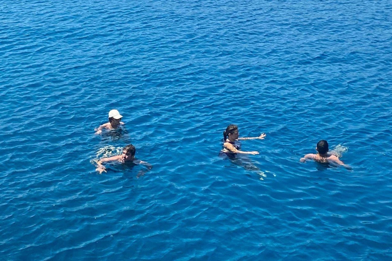 Tour della baia dell'acquario di Bodrum con pranzo e soste per il bagno