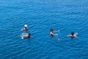 Bodrum Aquarium Bay Tour med lunsj og svømmestopp