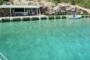 Bodrum Aquarium Bay Tour med lunsj og svømmestopp