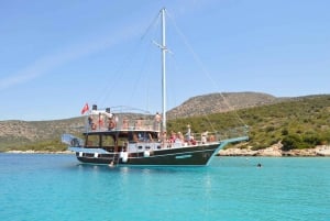 Bodrum: tour in barca di Orak o dell'Isola Nera con pranzo