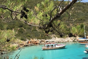 Bodrum: Boat Tour for Mein Schiff and Aida Cruise Passengers