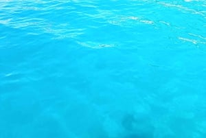 Passeio de barco em Bodrum com partida da praia de Gümbet