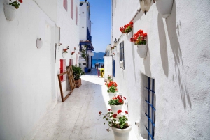 Bodrum: City Highlights Walking Tour