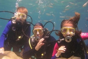 Bodrum diving day for advanced and beginner divers