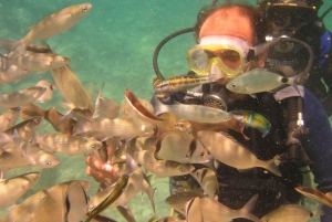 Bodrum diving day for advanced and beginner divers