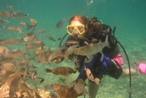 Bodrum diving day for advanced and beginner divers