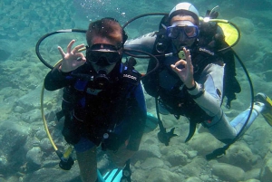 Bodrum diving day for advanced and beginner divers