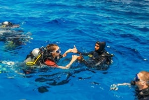 Bodrum: Excursão de mergulho de dia inteiro
