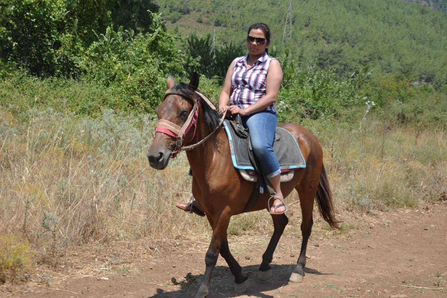 Bodrum Horse Safari