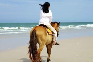 Bodrum: Ridning på hesteryg