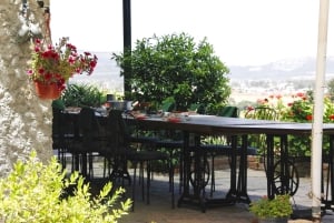 Bodrum: Market Visit and Cooking Class