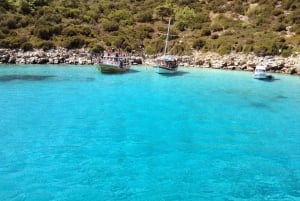 Bodrum : Excursion en bateau sur l'île d'Orak avec déjeuner et transfert facultatif