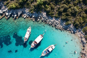 ボドルム：オラク島ボートツアー（ランチとオプション送迎付き）