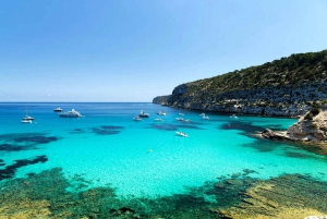 ボドルム：オラク島ボートツアー（ランチとオプション送迎付き）