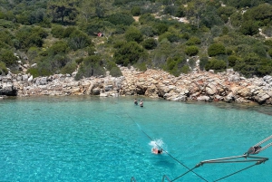 ボドルム：オラク島ボートツアー（ランチとオプション送迎付き）