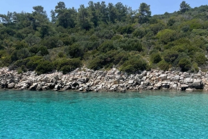 ボドルム：オラク島ボートツアー（ランチとオプション送迎付き）