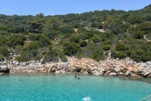 ボドルム：オラク島ボートツアー（ランチとオプション送迎付き）