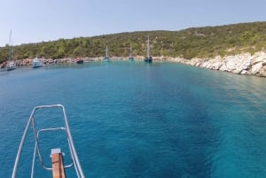 Bodrum - Excursion en bateau sur l'île d'Orak