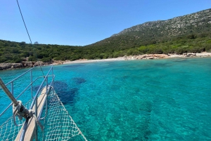 Bodrum Peninsula Private Boat Tour with Lunch
